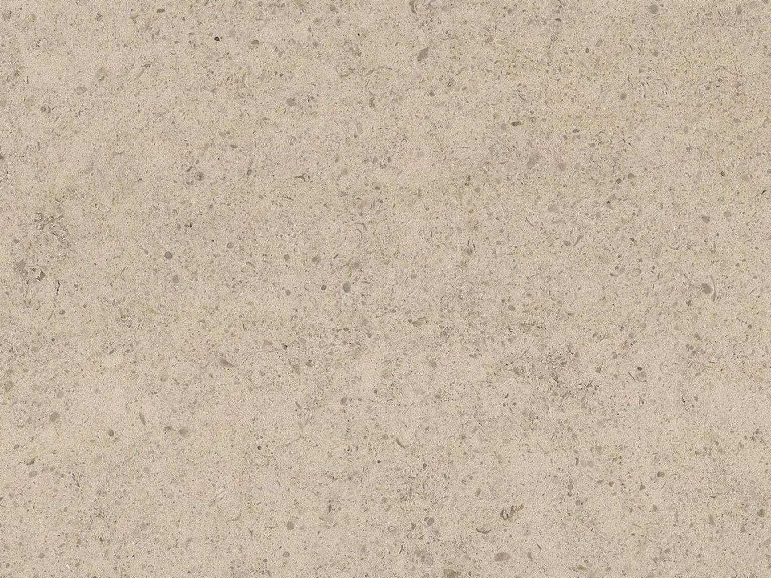 Moleanos (Gascogne Beige) | Pizrog